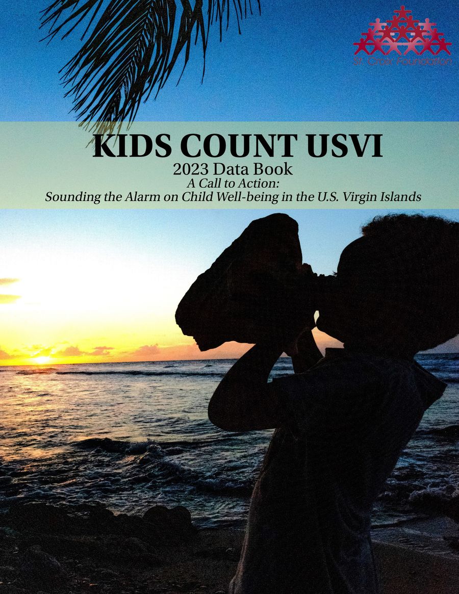 2023 KIDS COUNT USVI Data Book: A Call to Action by Jonathan Williams ...