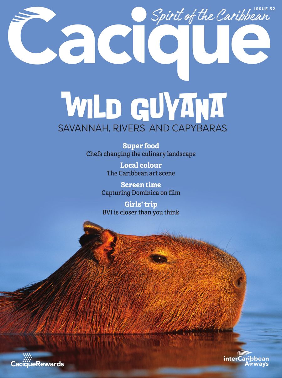 Cacique Issue 32 (October 2026) Gecko Publishing by Sherry Rix - Flipsnack