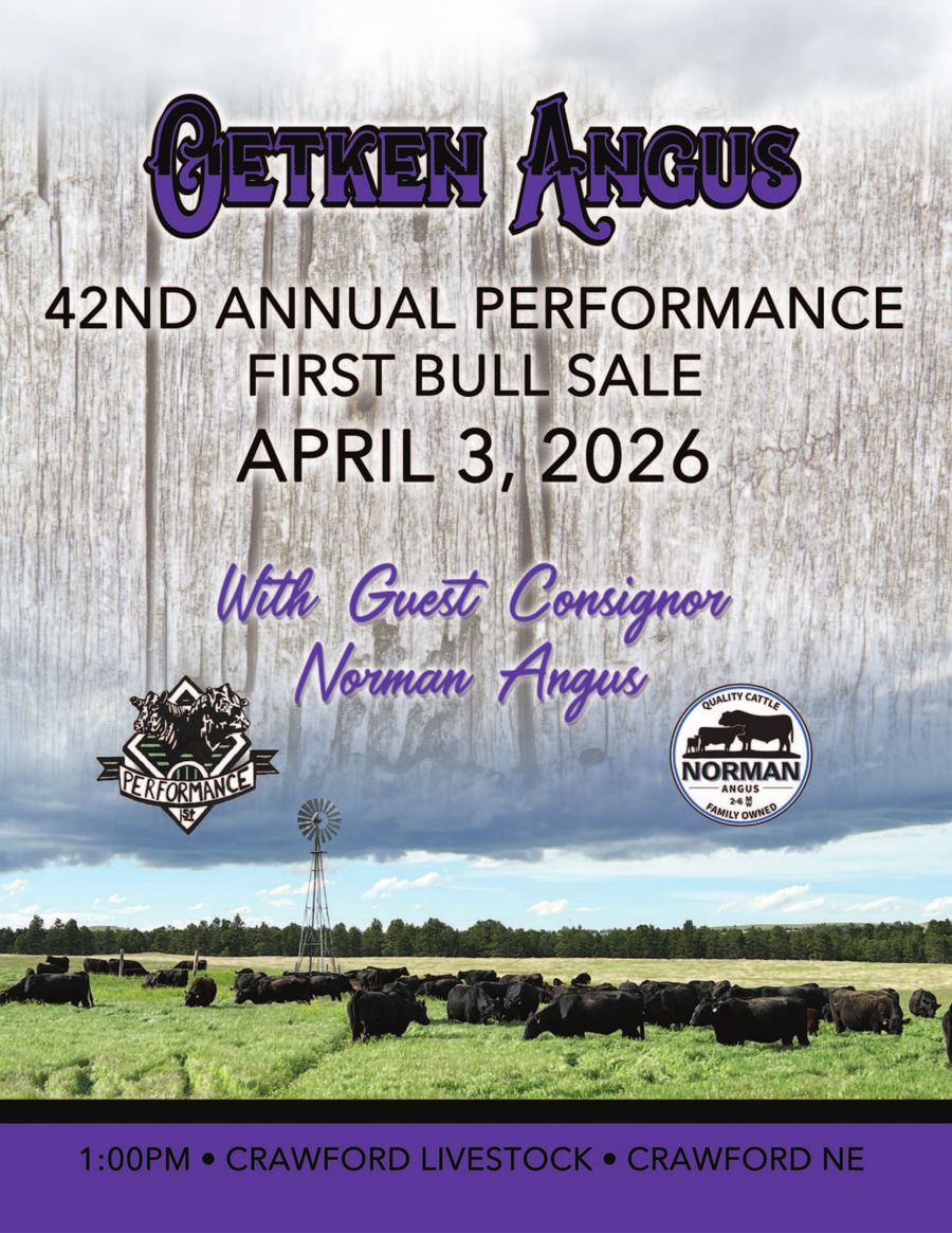 2026 Oetken/Norman Performance First Bull Sale by Jessamyn - Flipsnack