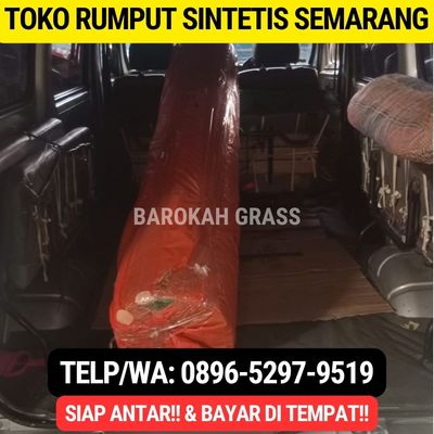 0896-5297-9519, Toko Rumput Sintetis Semarang Mijen 
