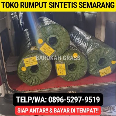 0896-5297-9519, Jual Rumput Sintetis Di Semarang Ngaliyan 