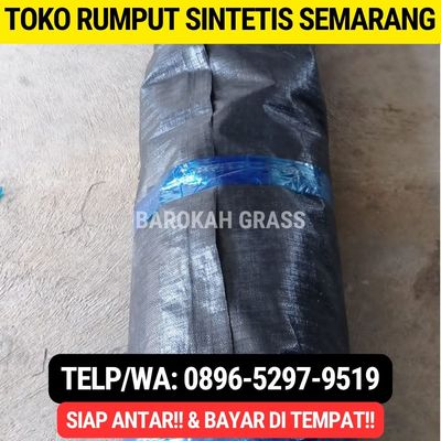 0896-5297-9519, Toko Rumput Sintetis Semarang Banyumanik 