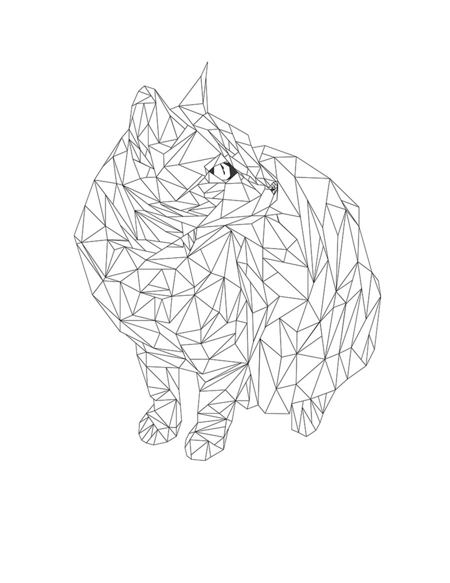 PolyArt Template 2... Curious Cat by Cory Morgan - Flipsnack