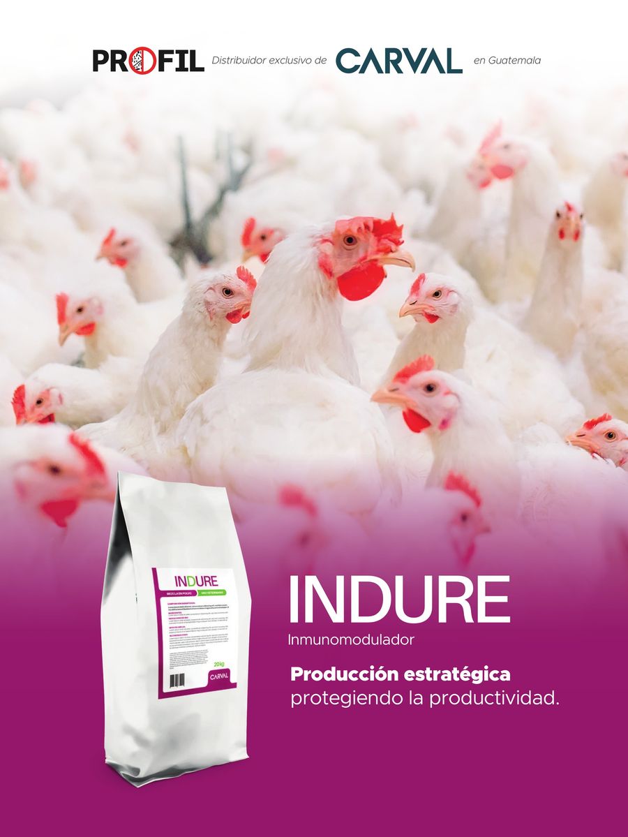 Indure Aves by Carval - Flipsnack