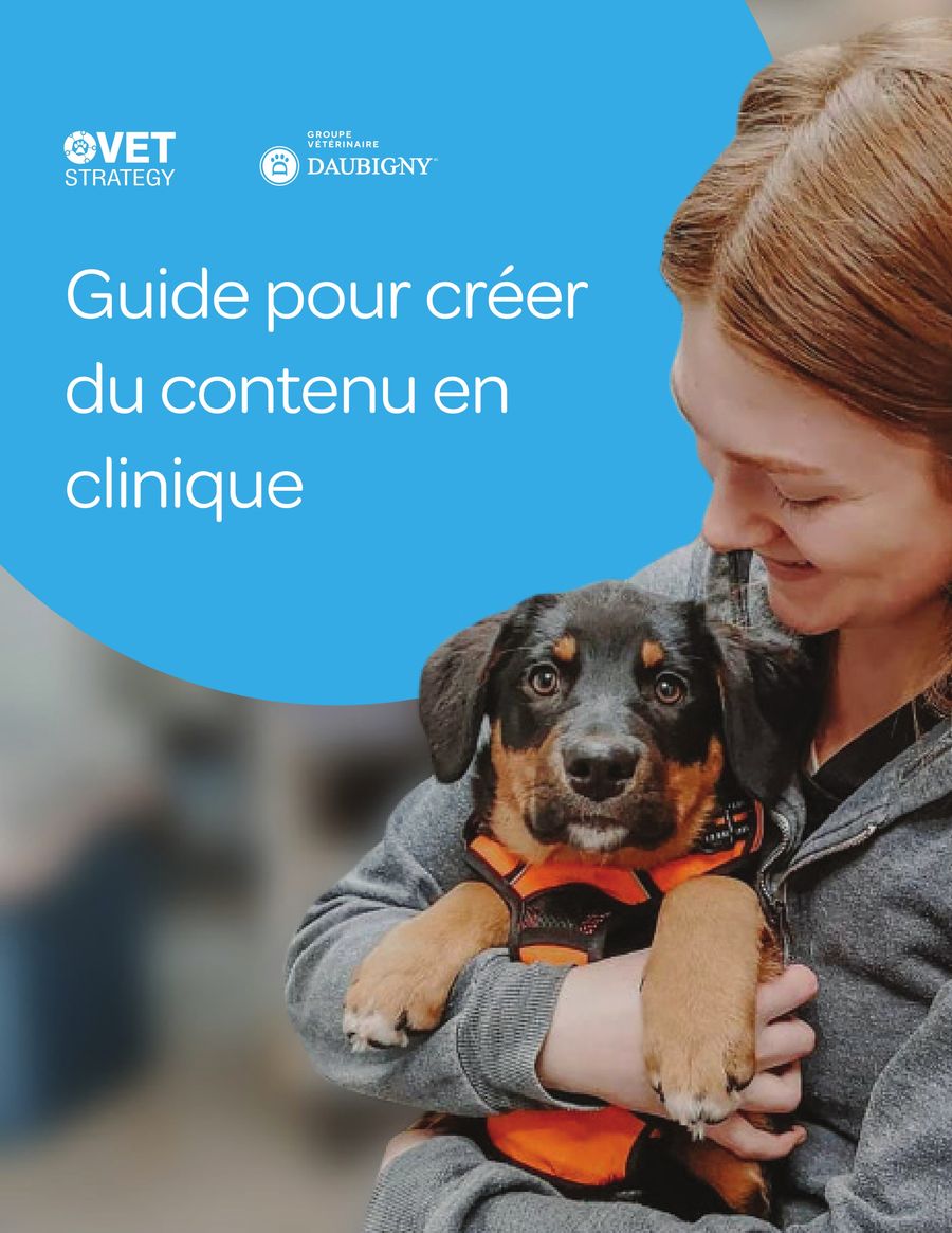 Guide pour créer du contenu en clinique by VetStrategy - Flipsnack