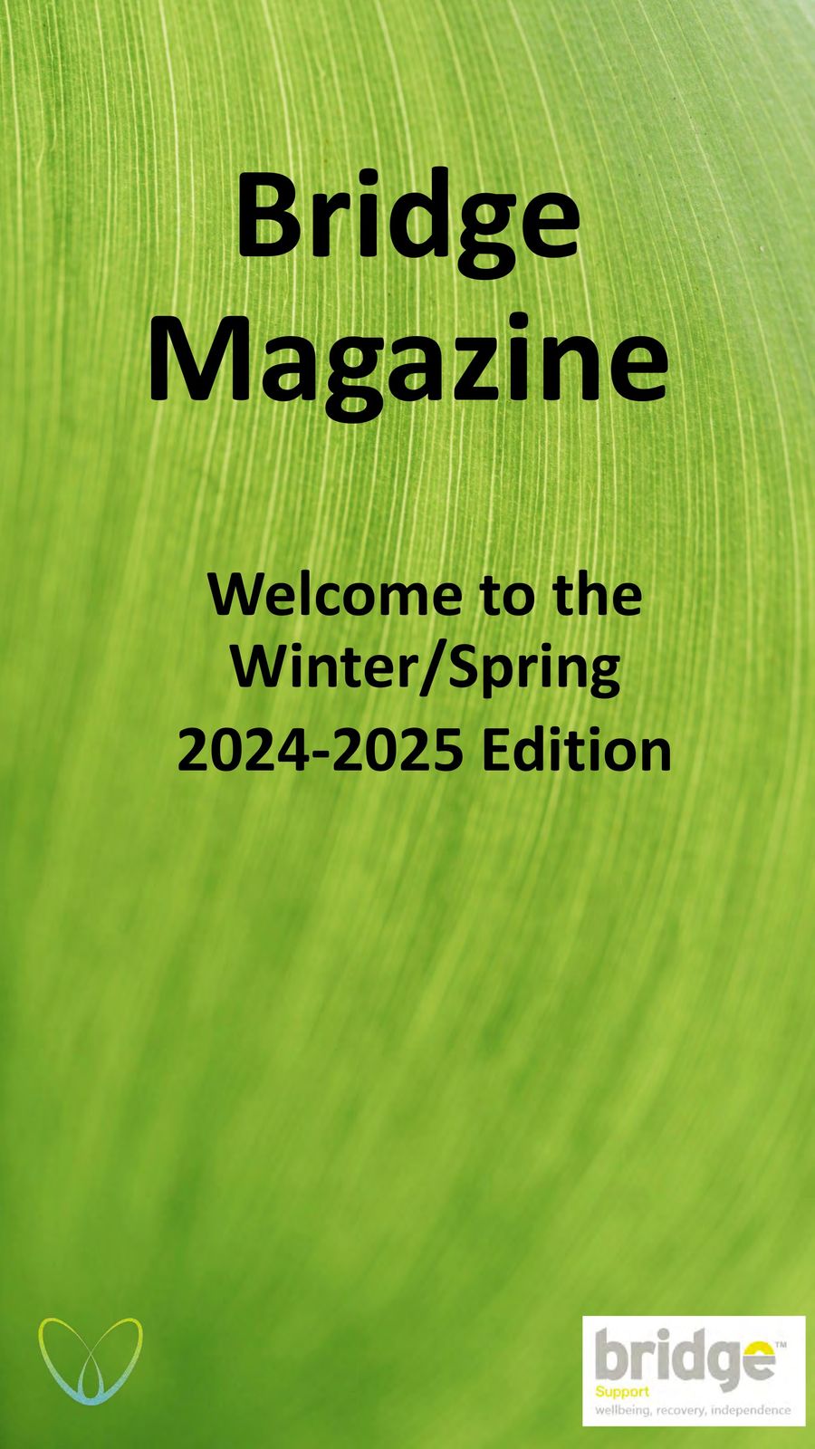 Bridge Magazine Winter 24-25 by Recovery... - Flipsnack