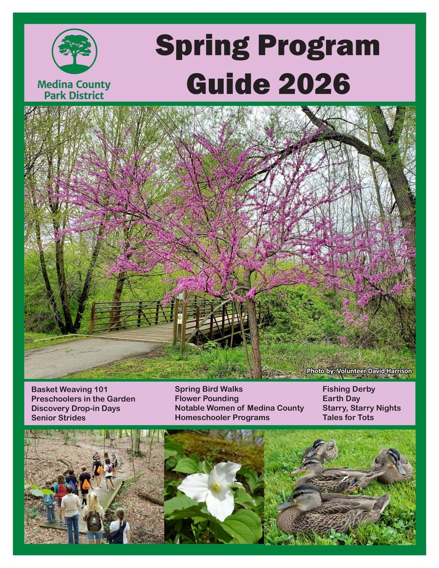 Spring Program Guide 26 web sm by The Biz Hive - Flipsnack