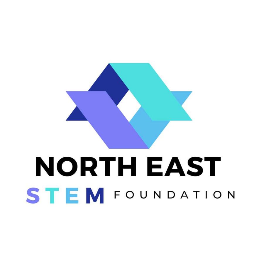 Getting to know NSEF by Caitlin Gobin - Flipsnack