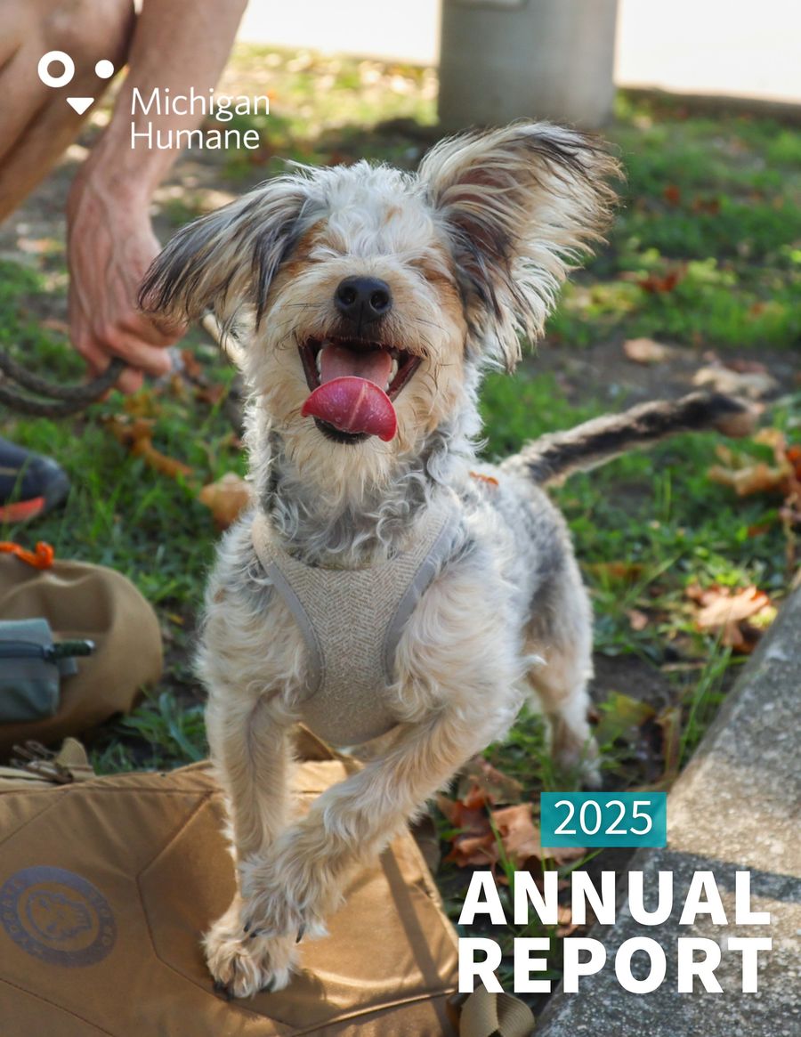 Michigan Humane 2025 Community Report by Michigan Humane - Flipsnack