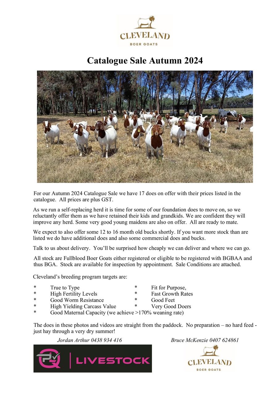 Catalogue Sale Autumn 2024 by QPL Livestock - Flipsnack
