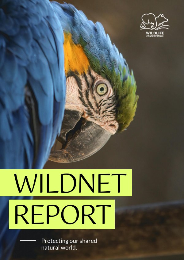 Wildlife Conservation Annual Report Template by Flipsnack - Flipsnack
