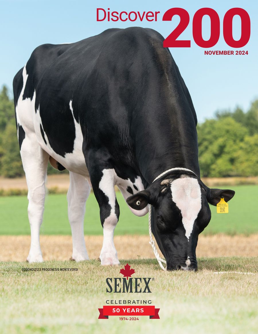 Semex Discover200 November 2024 by Semex,... - Flipsnack