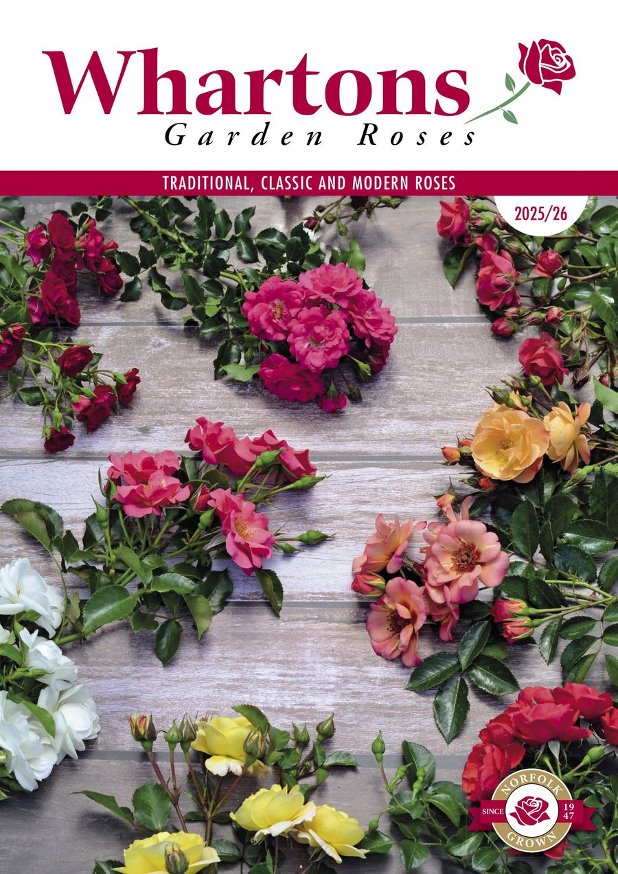 Whartons Roses Catalogue 25/26 Season by Whartons Garden... - Flipsnack