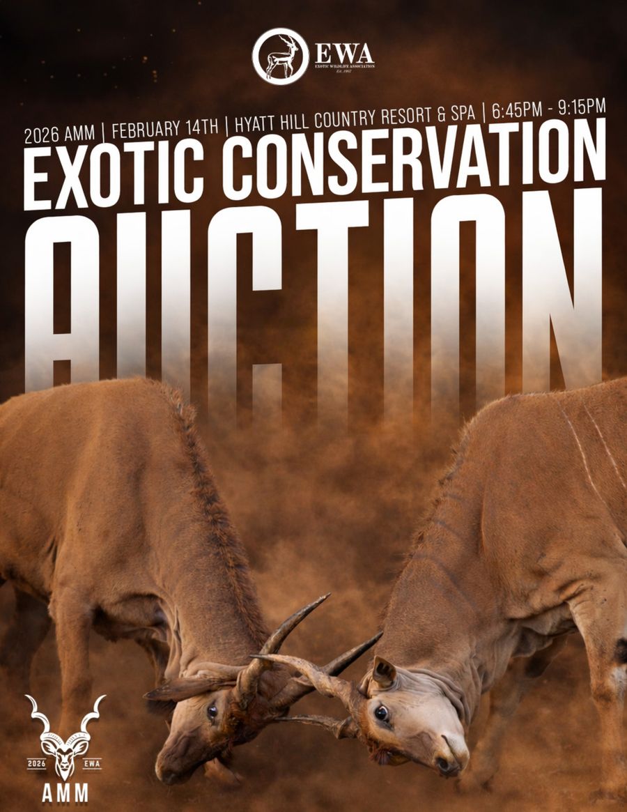2026 Exotic Auction program by Suzanne - Flipsnack