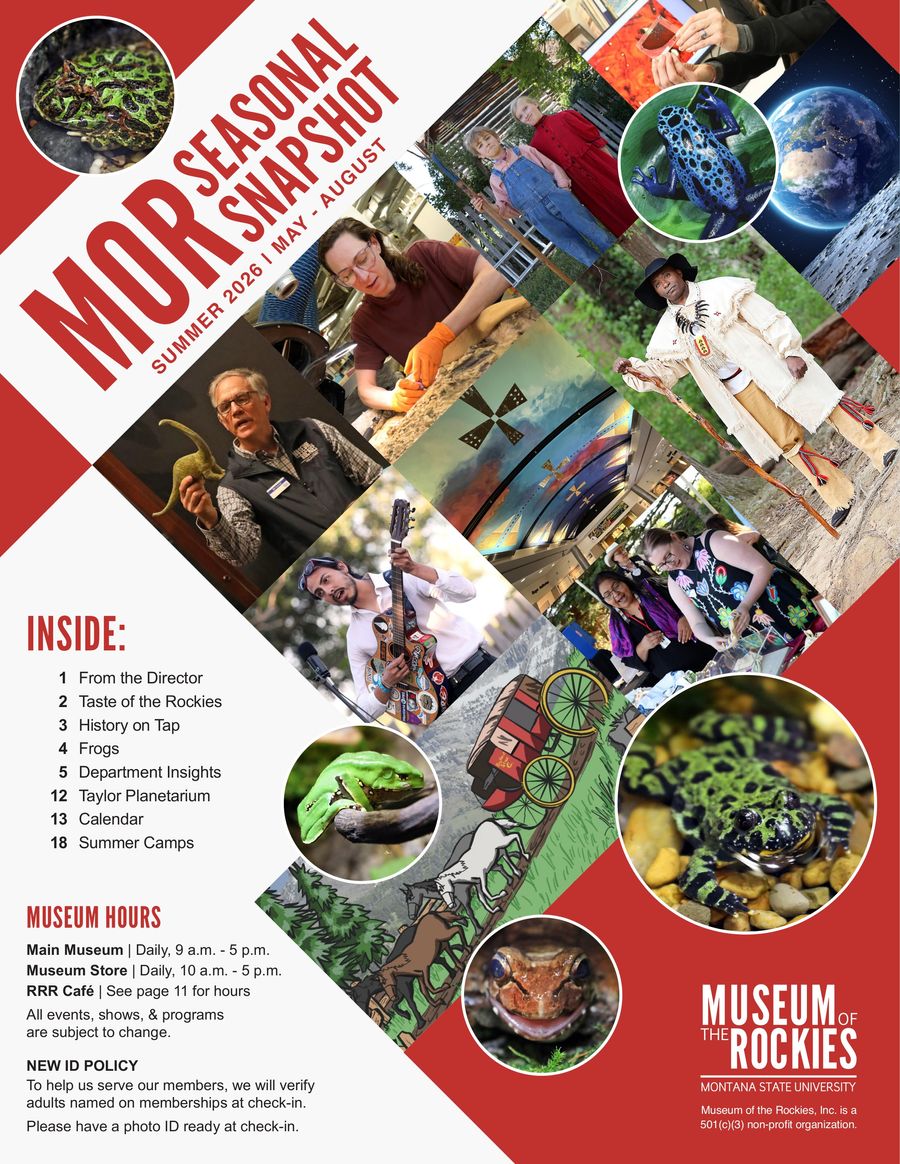 MOR Summer Seasonal Snapshot 2026 by Museum of the... - Flipsnack