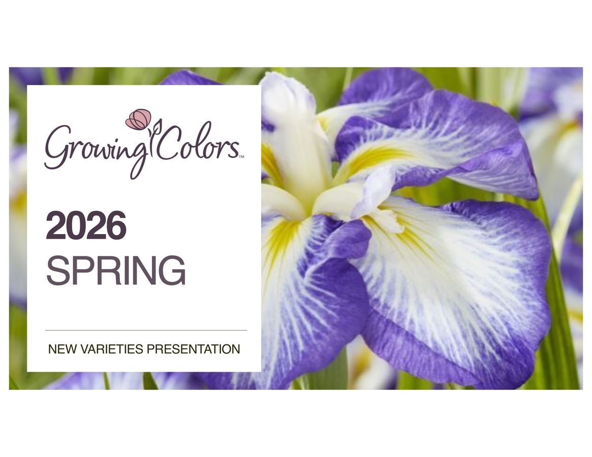 2026 Spring New Varieties Presentation Version1 by Jodie van der Sman ...
